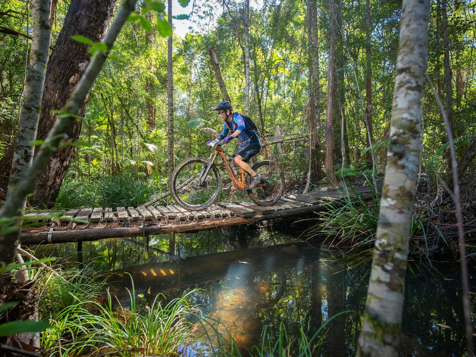 Image for Shimano MTB Grand Prix Race | Jolly Nose NSW RD4
