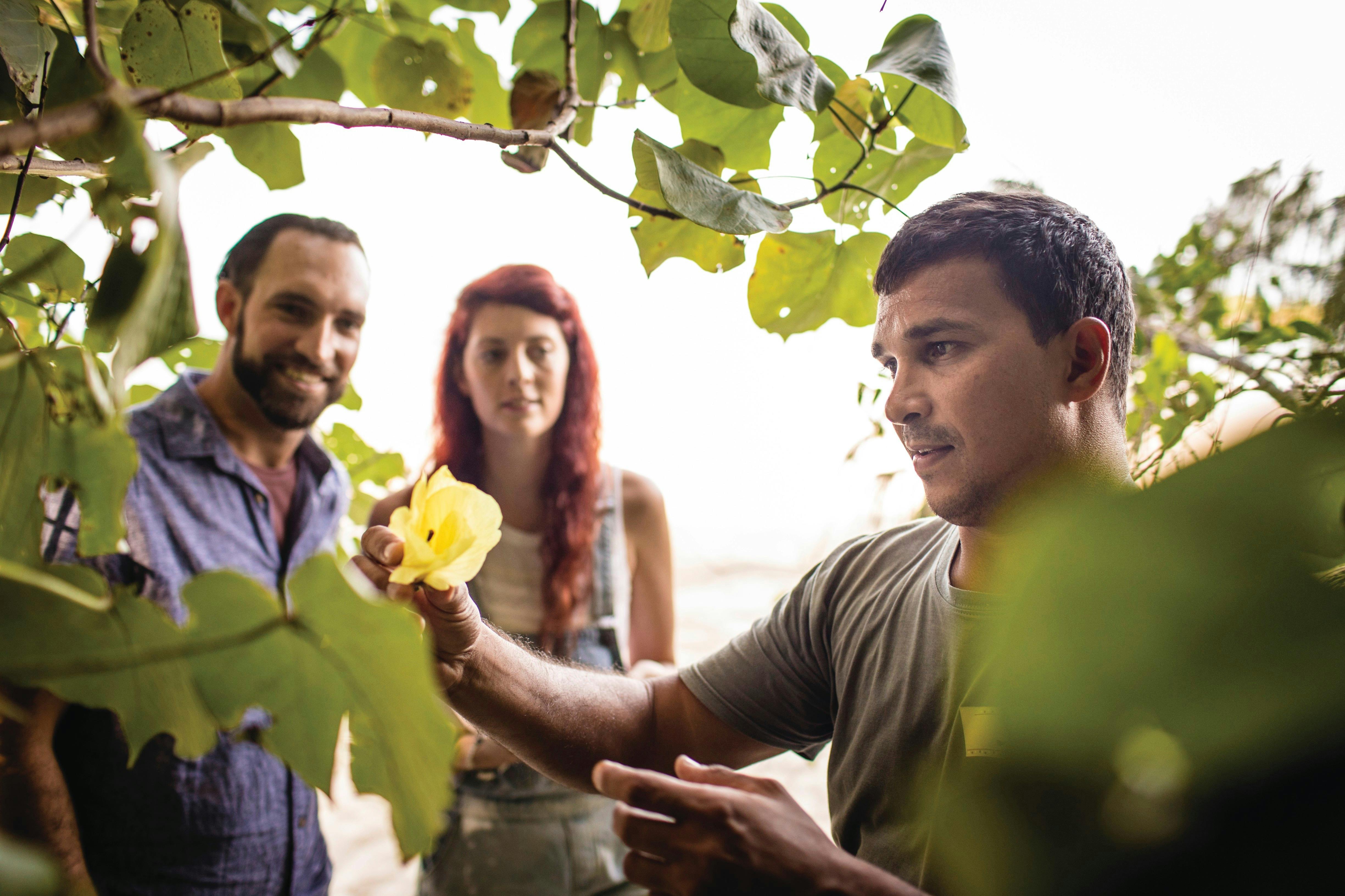 Walkabout Cultural Adventures - Bush Foods