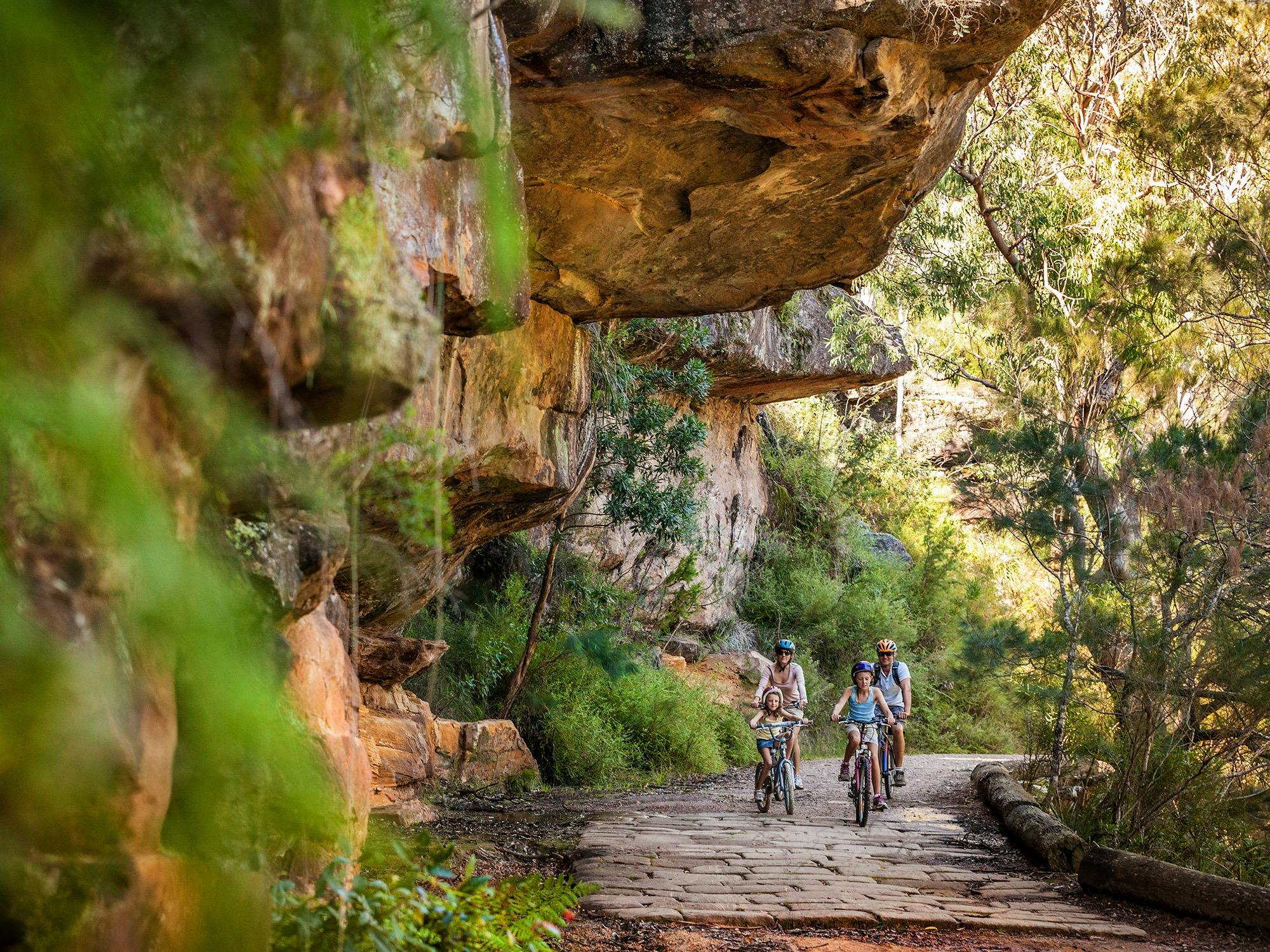Family fun on bikes Lady Carrington Drive Royal National Park
