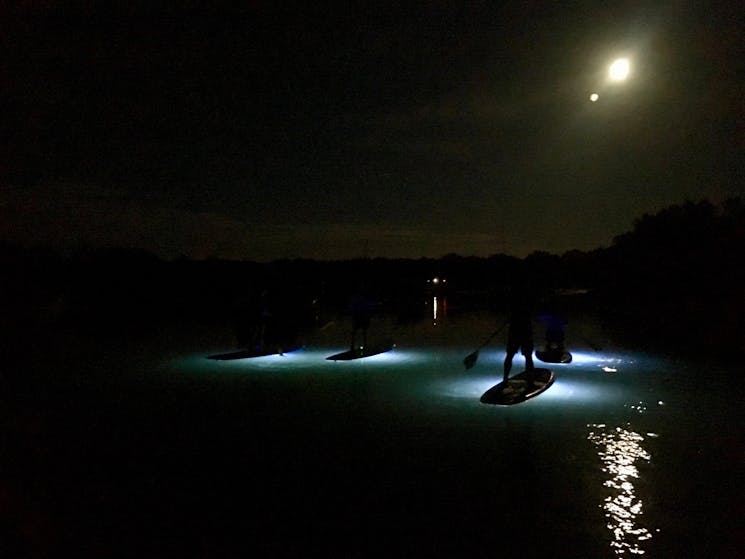 Jervis Bay Stand Up Paddle