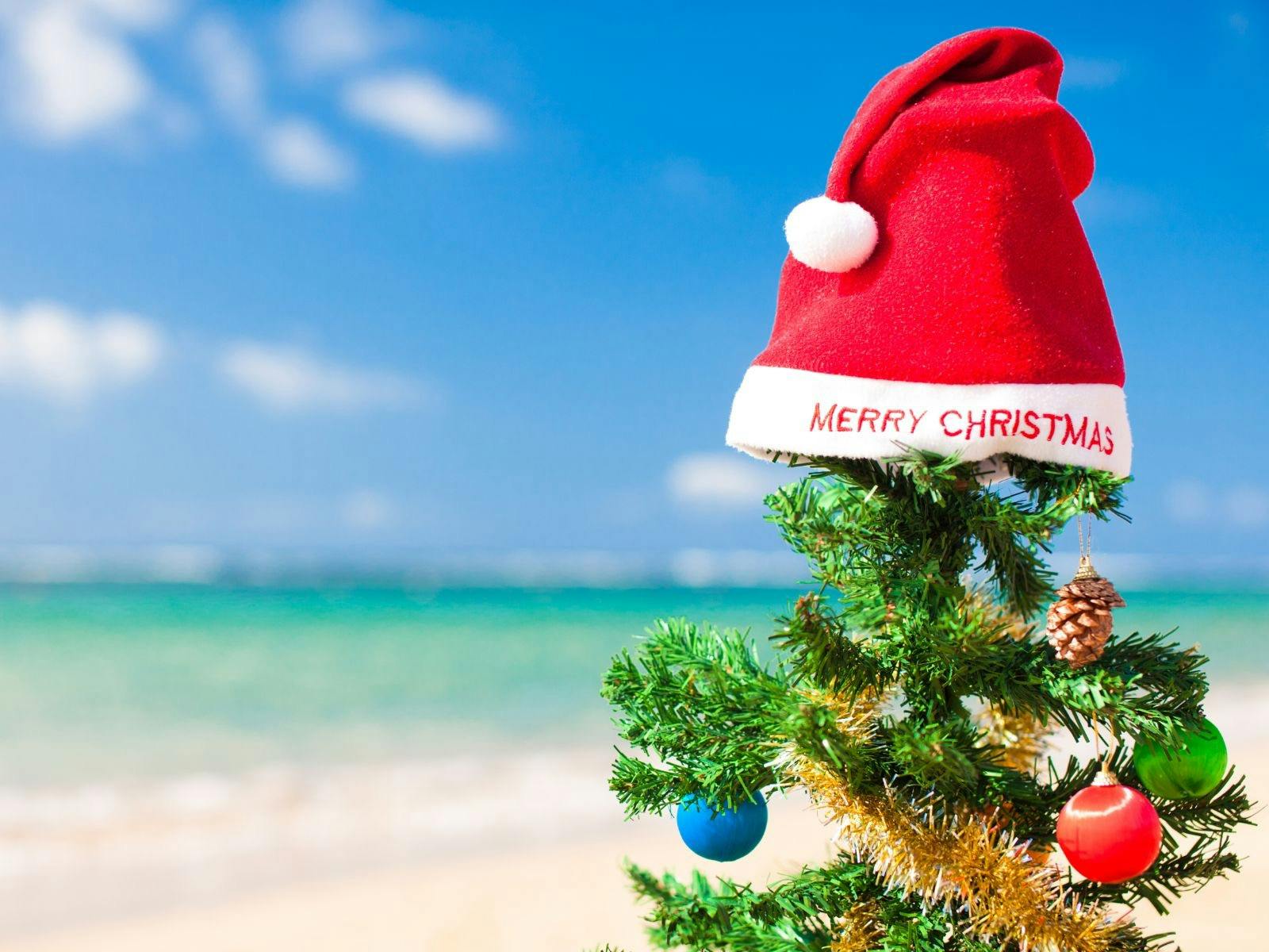 Free Christmas Celebration, Market and Carols