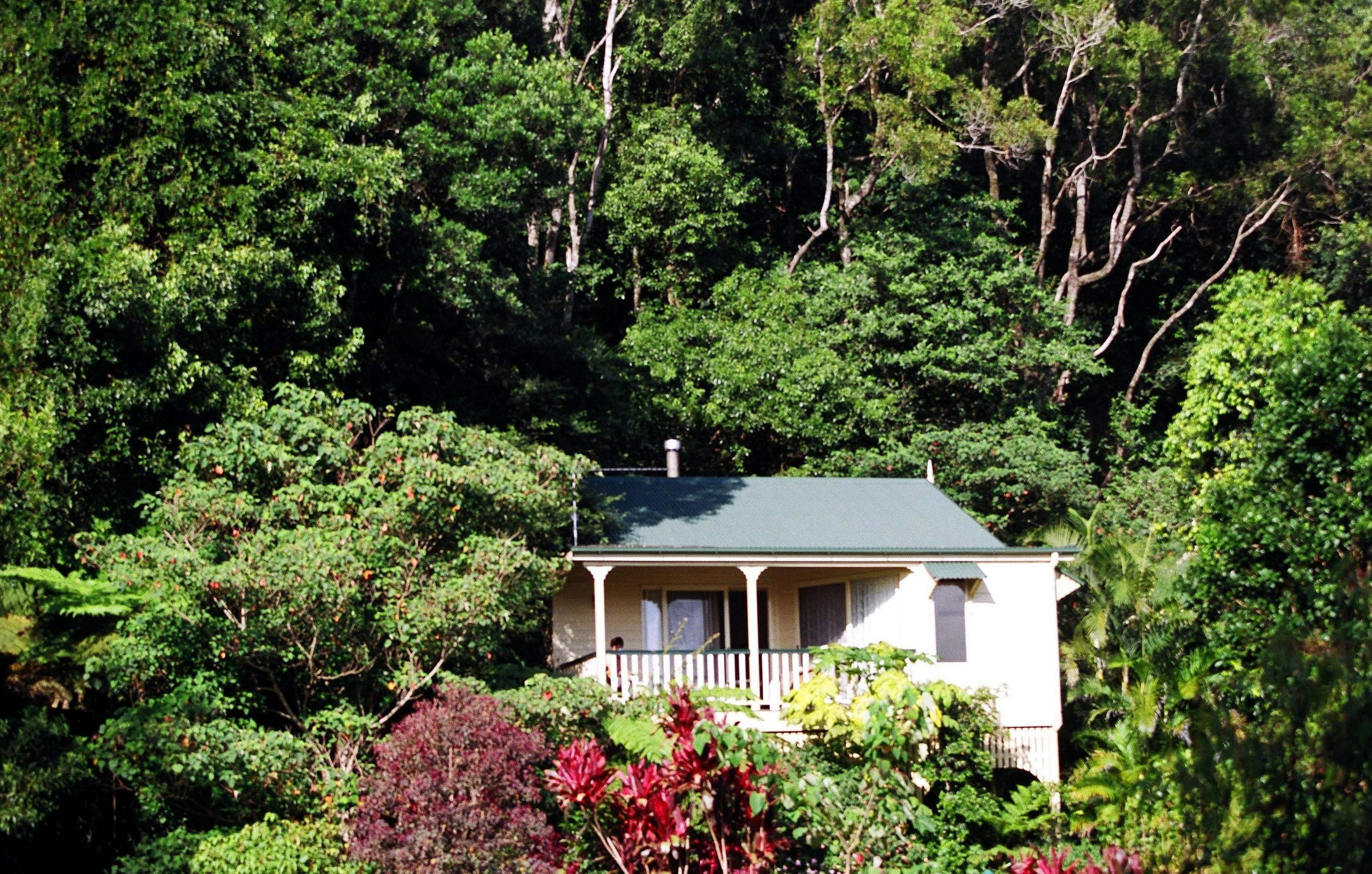 Cottages in the rainforest