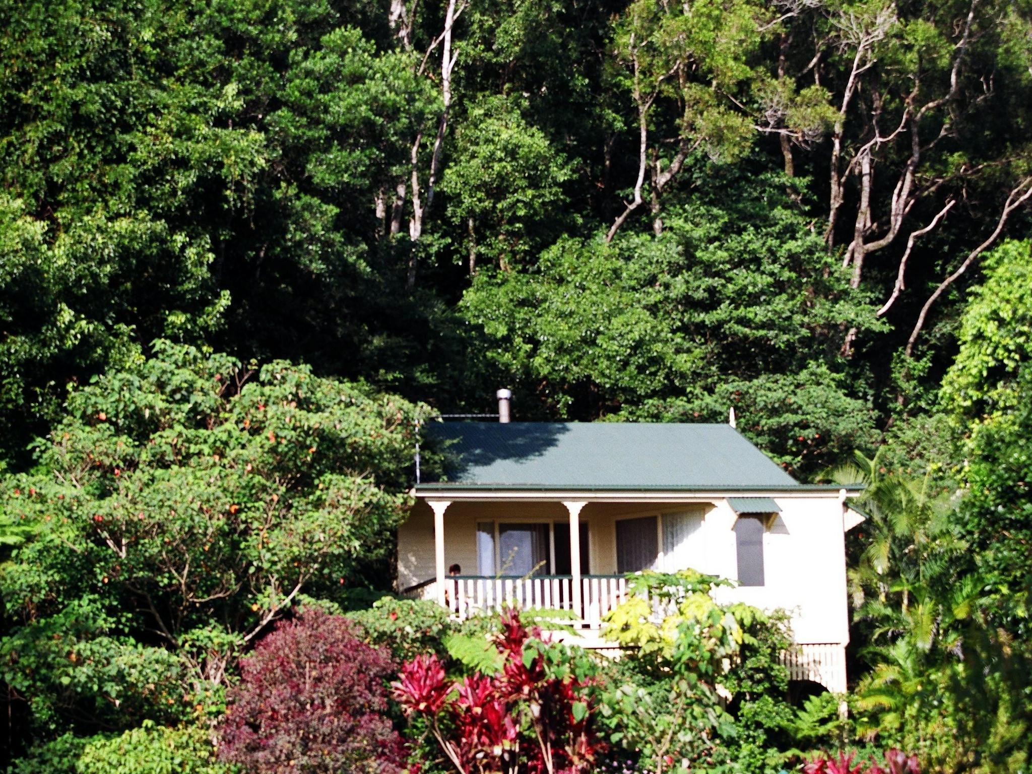 Cottages in the rainforest Cottages in the rainforest