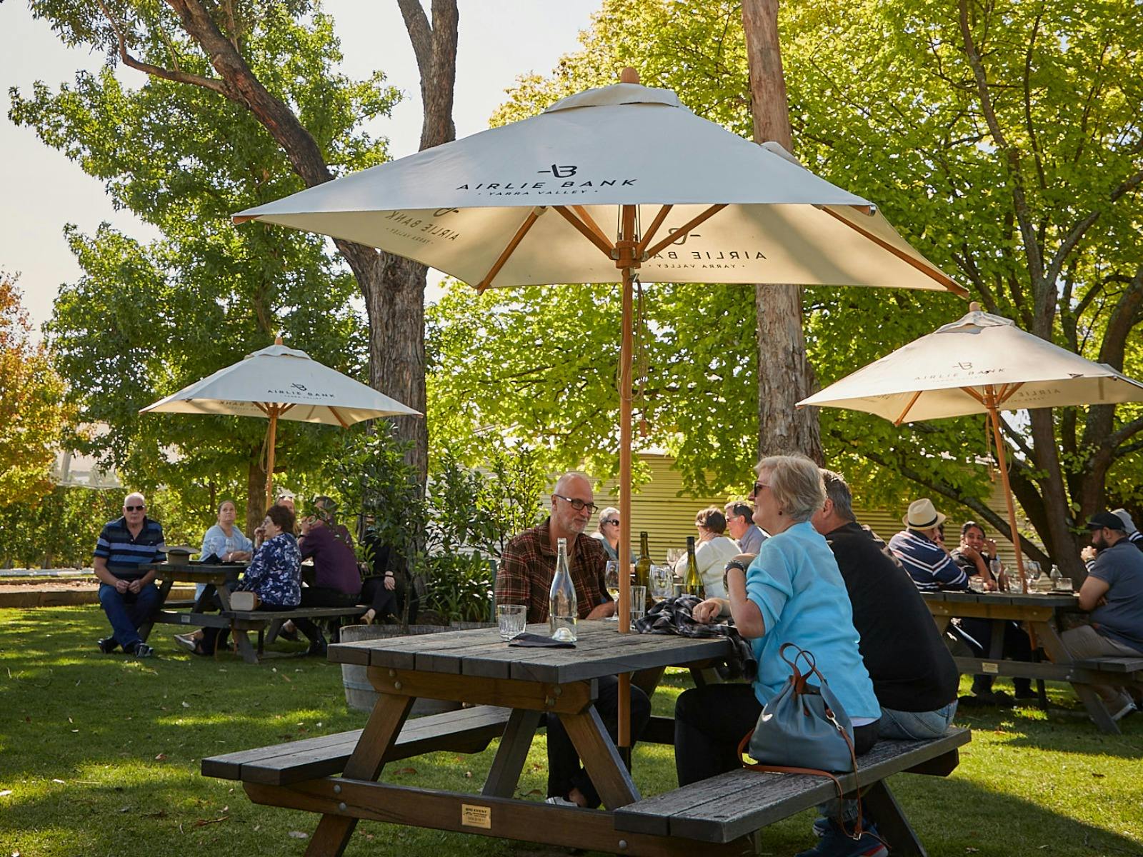 Live Music Sessions at Punt Road Wines