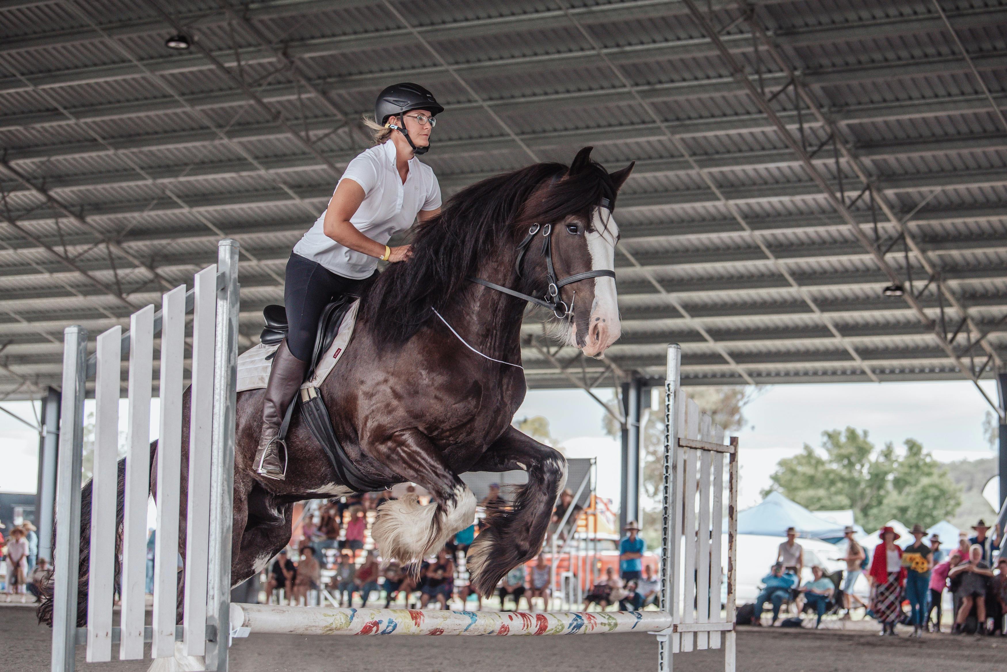 Darling Downs Heavy Horse Festival 2025