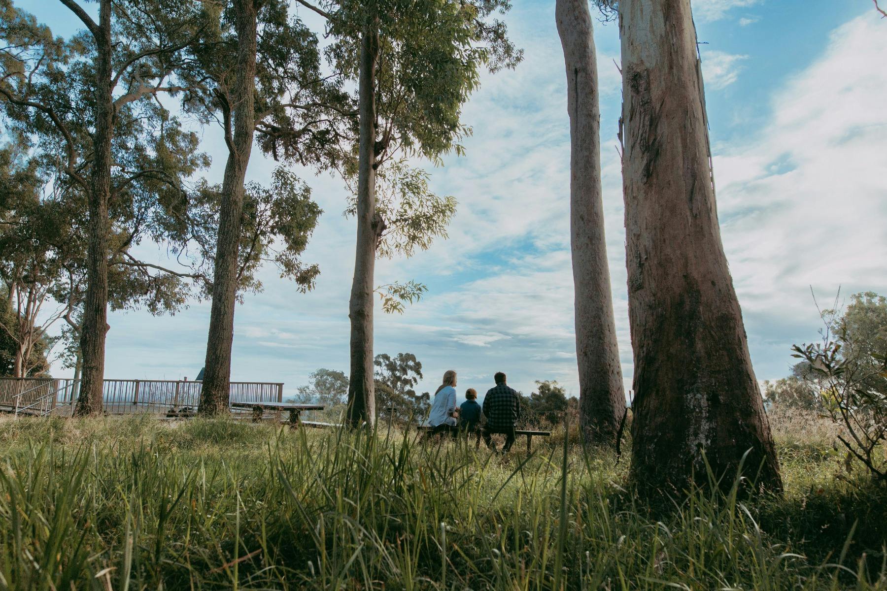 Share a family adventure among native forest and breathtaking lookout views.