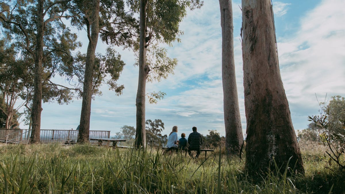 Family surrounded by native trees, admiring the views from the escarpment trail