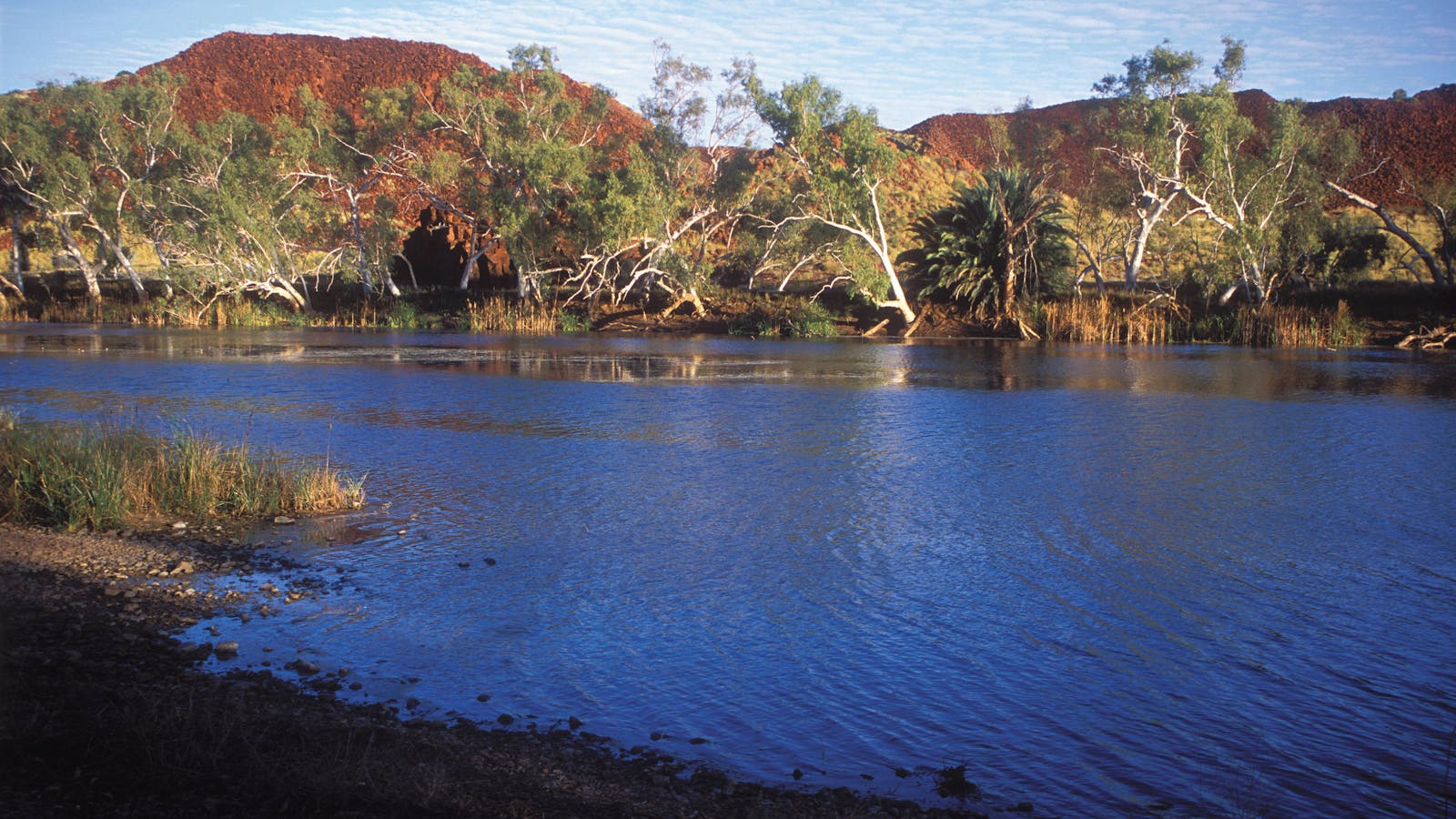 Harding River Dam