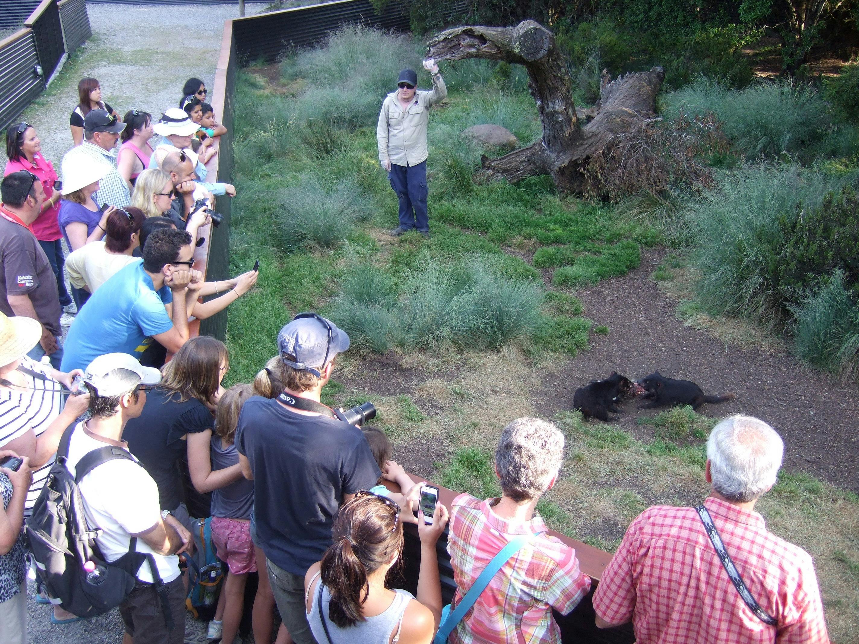 Keeper presenting Tasmanian Devil talk