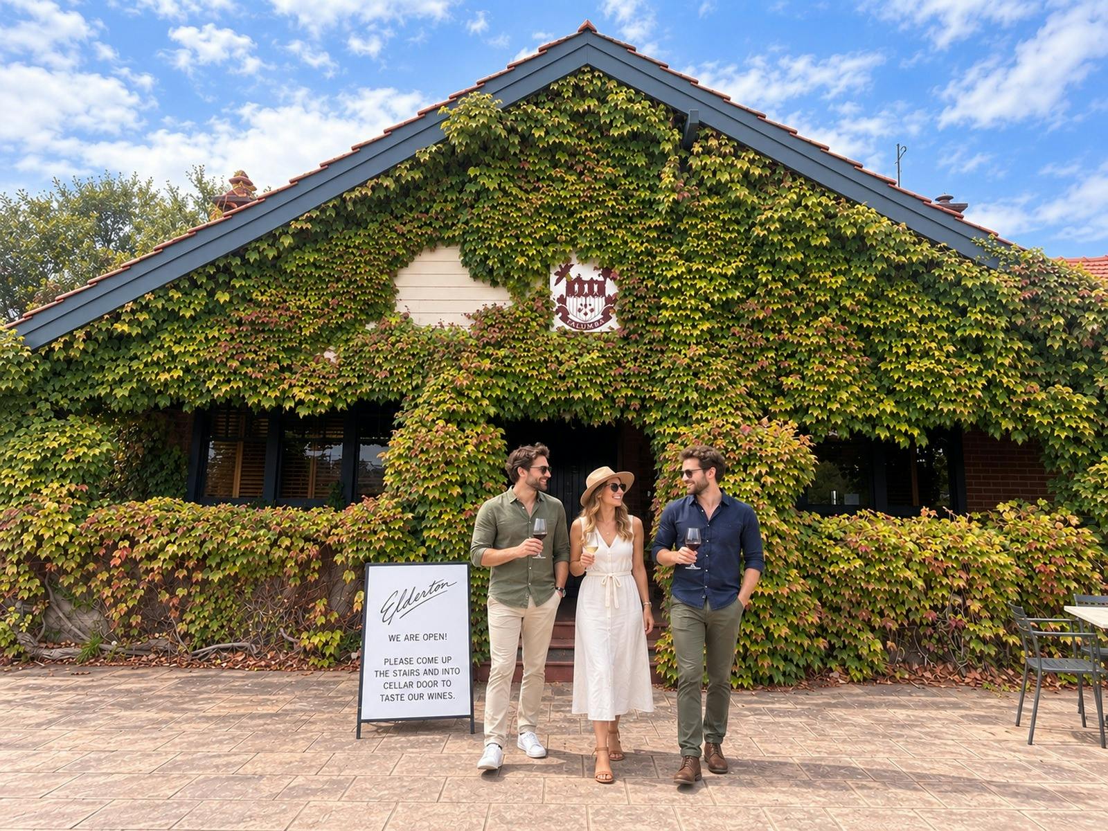 Wine Tour