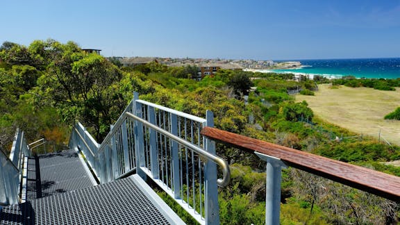 Malabar Headland National Park Western Escarpment Walking Track