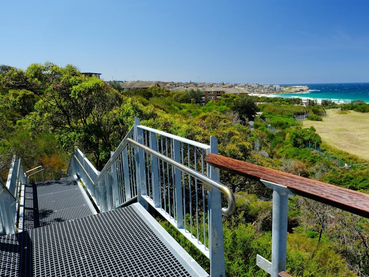 Malabar Headland National Park Western Escarpment Walking Track. Credit: OEH NSW