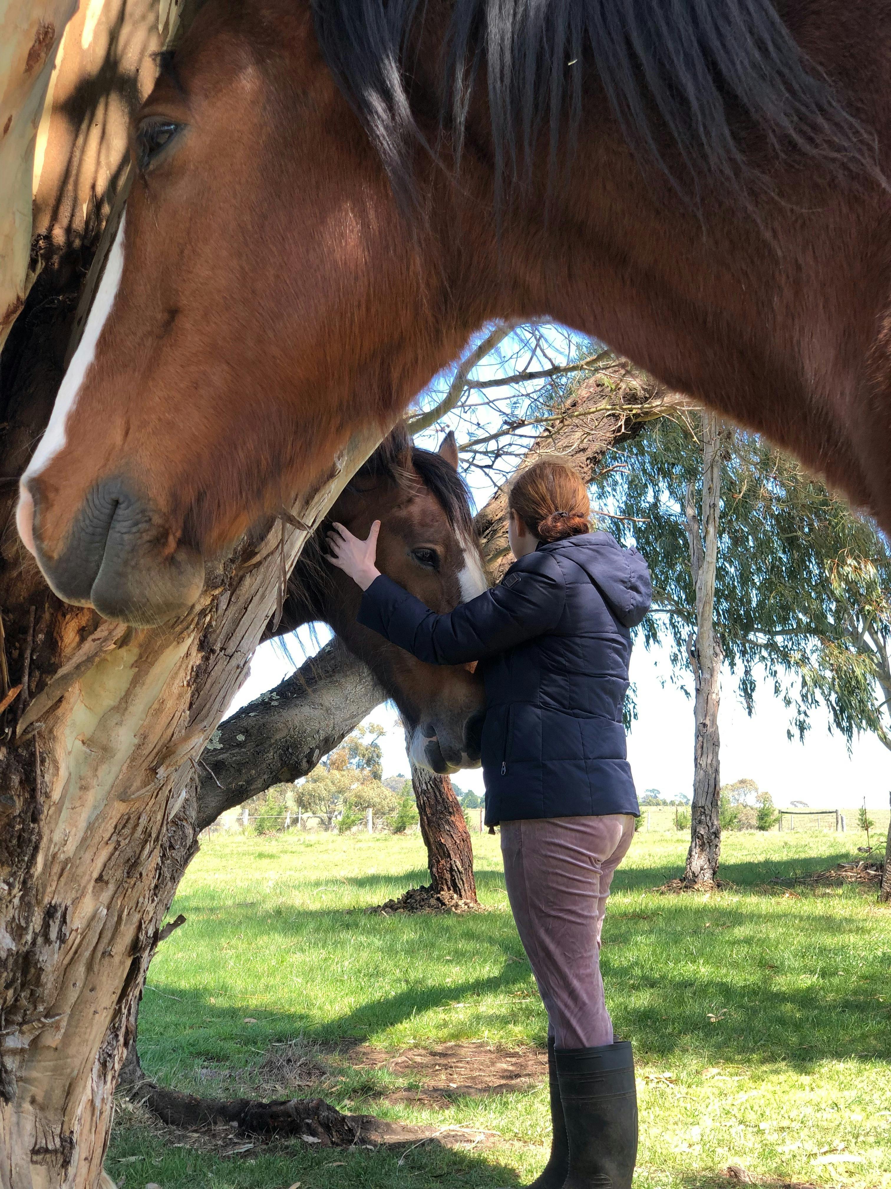 Five Day Healing with Horses and Wellness Retreat