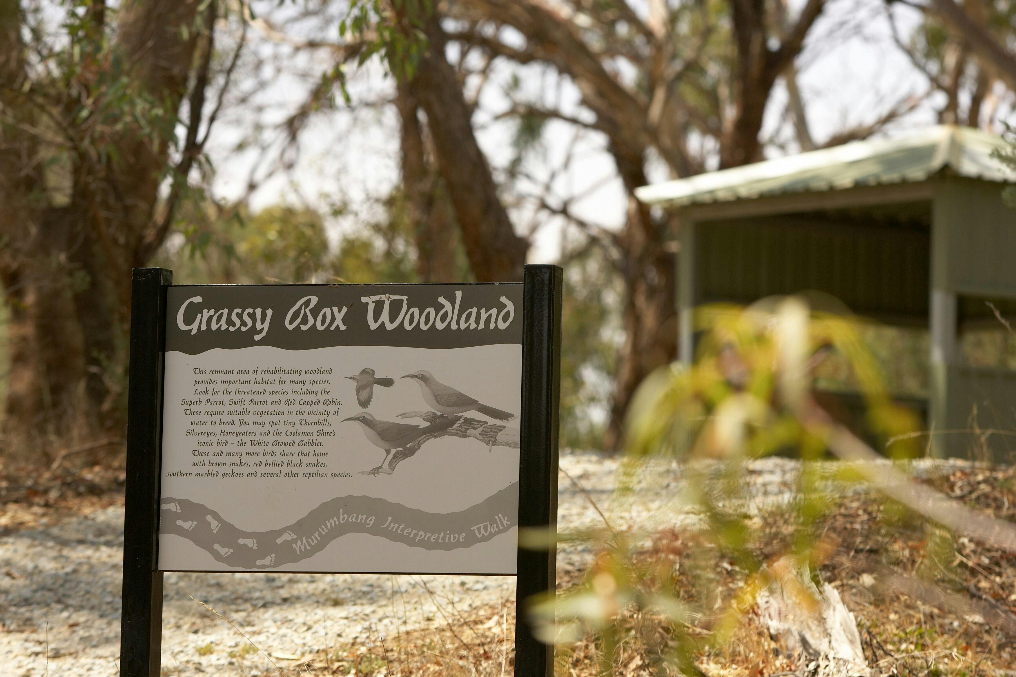 Interpretive signage for bird-spotting