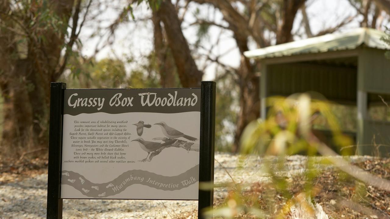 Interpretive signage for bird-spotting