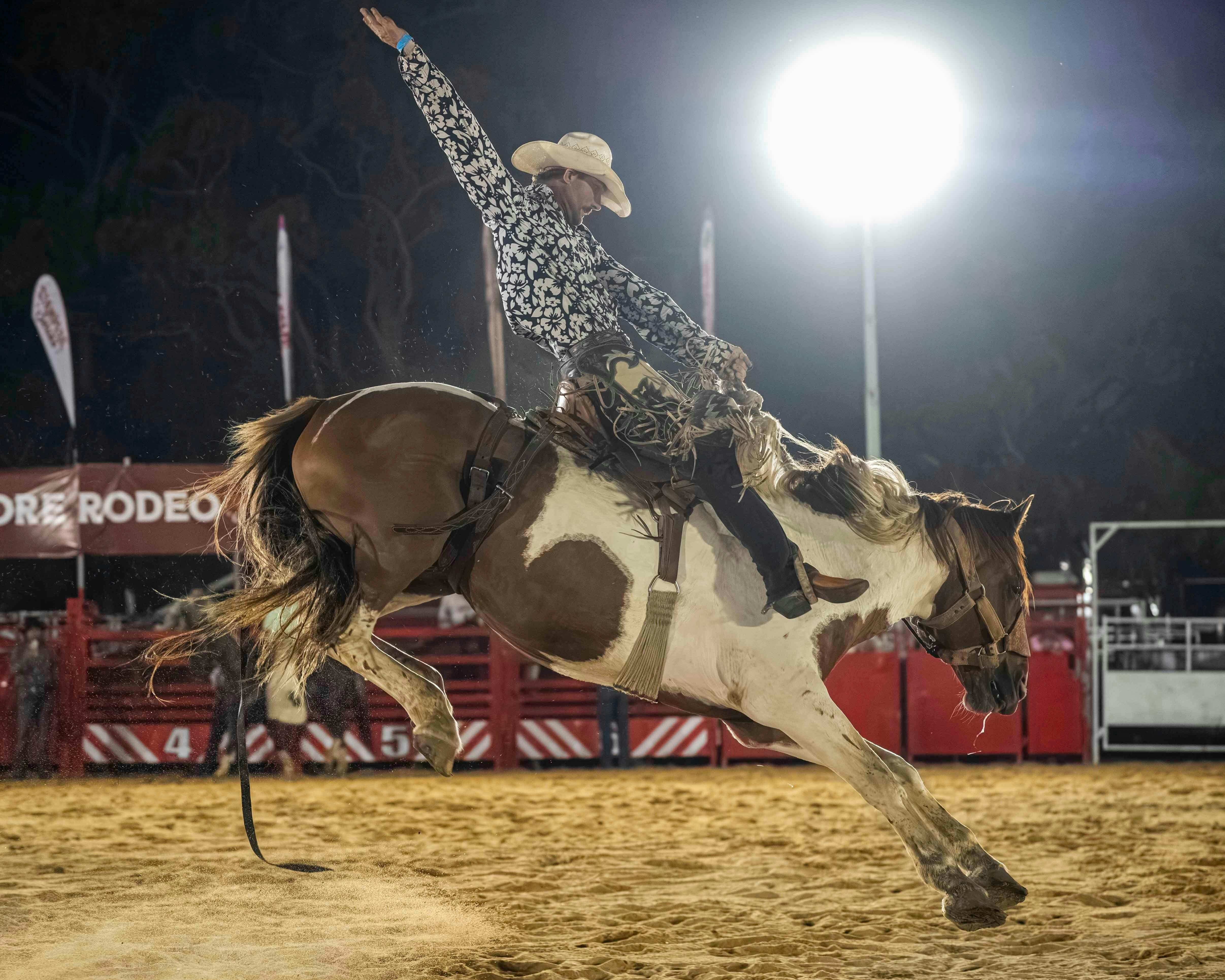 Saddle Bronc Rider