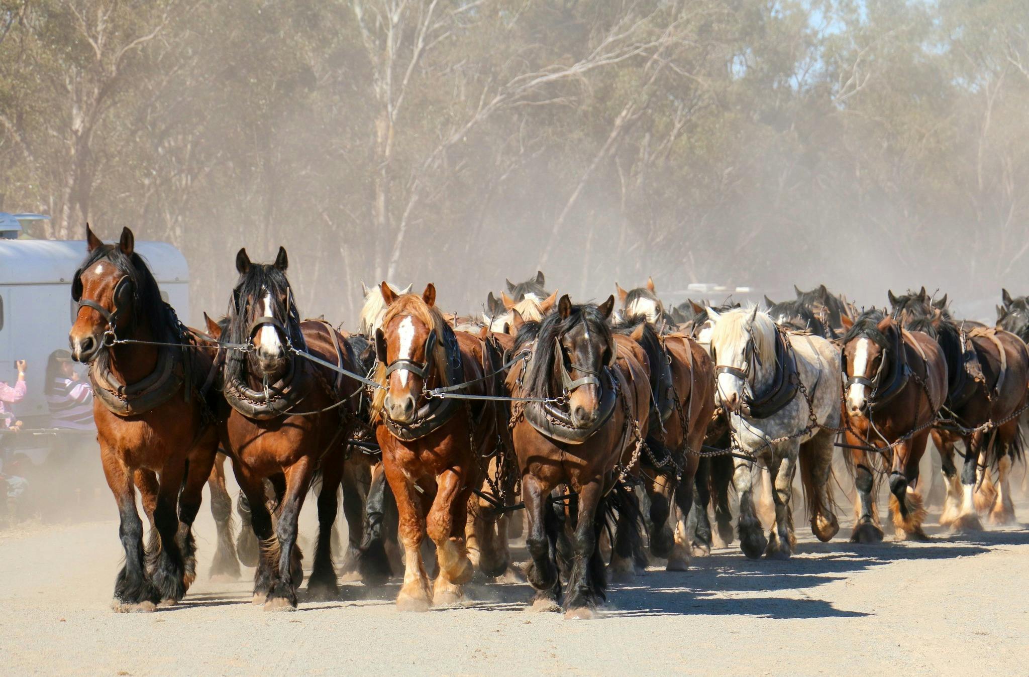 Good Old Days Festival