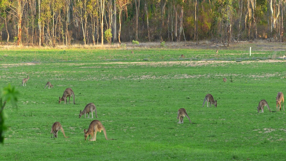 400 acres of peaceful paradise