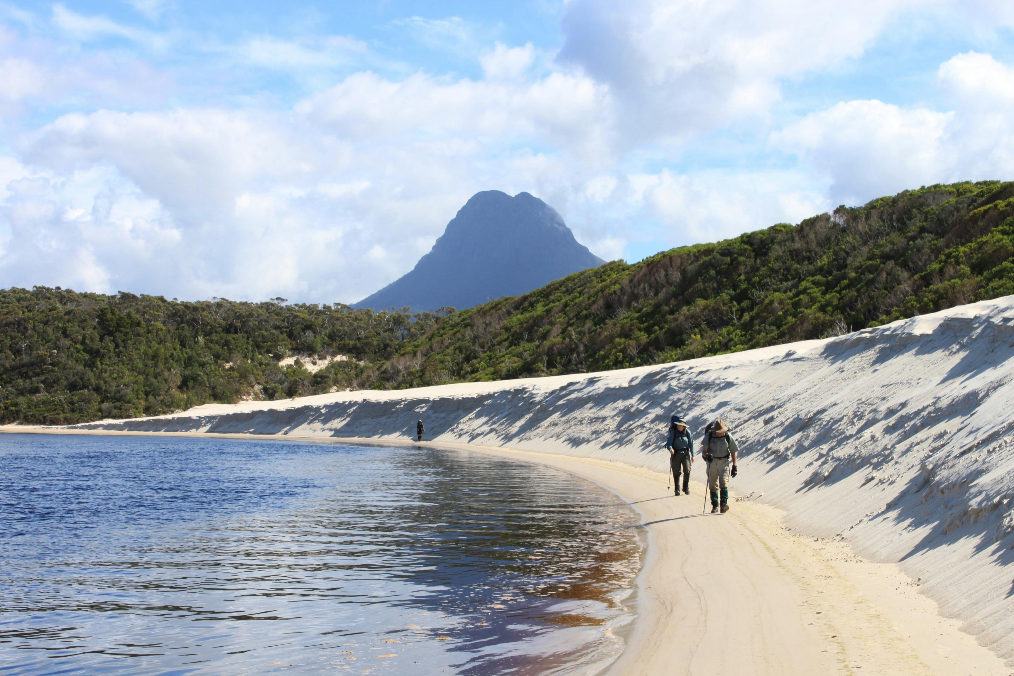 Nine day South Coast Track Guided Walk