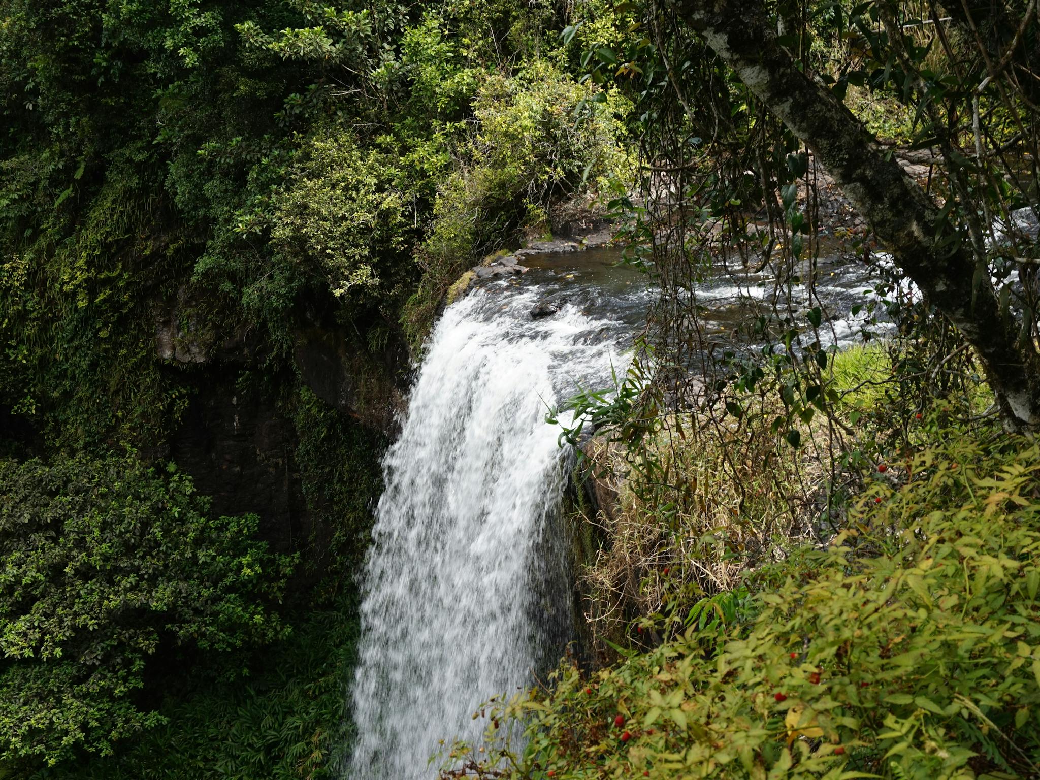 Zillie Falls Zillie Falls