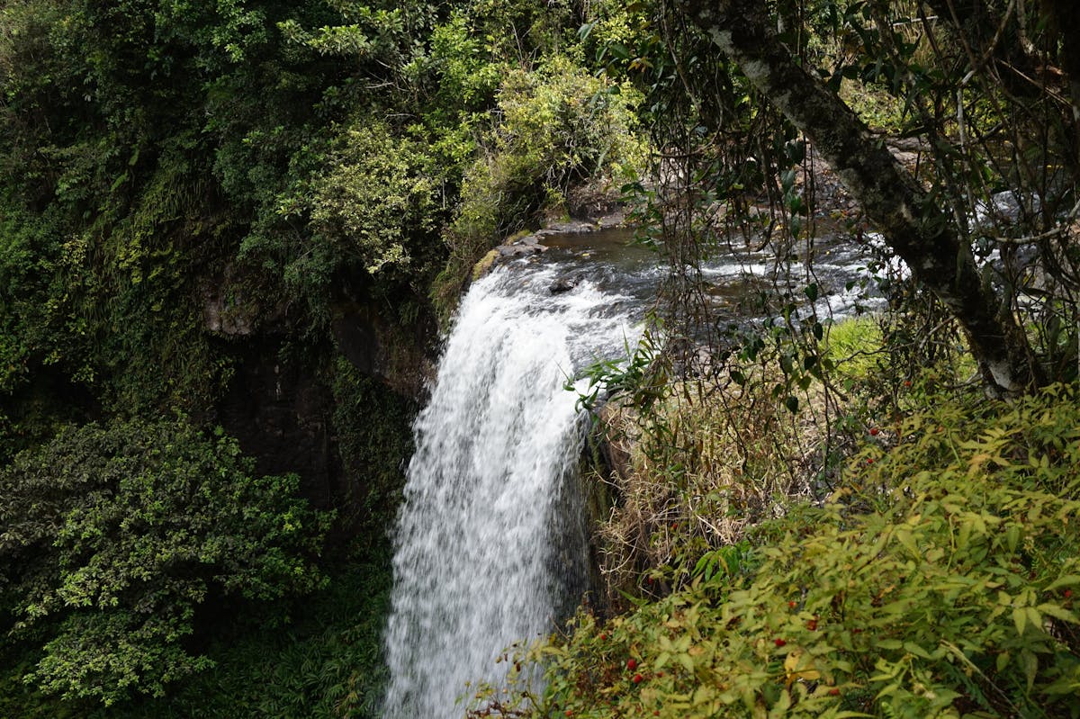 Zillie Falls