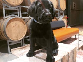 Horner Wines