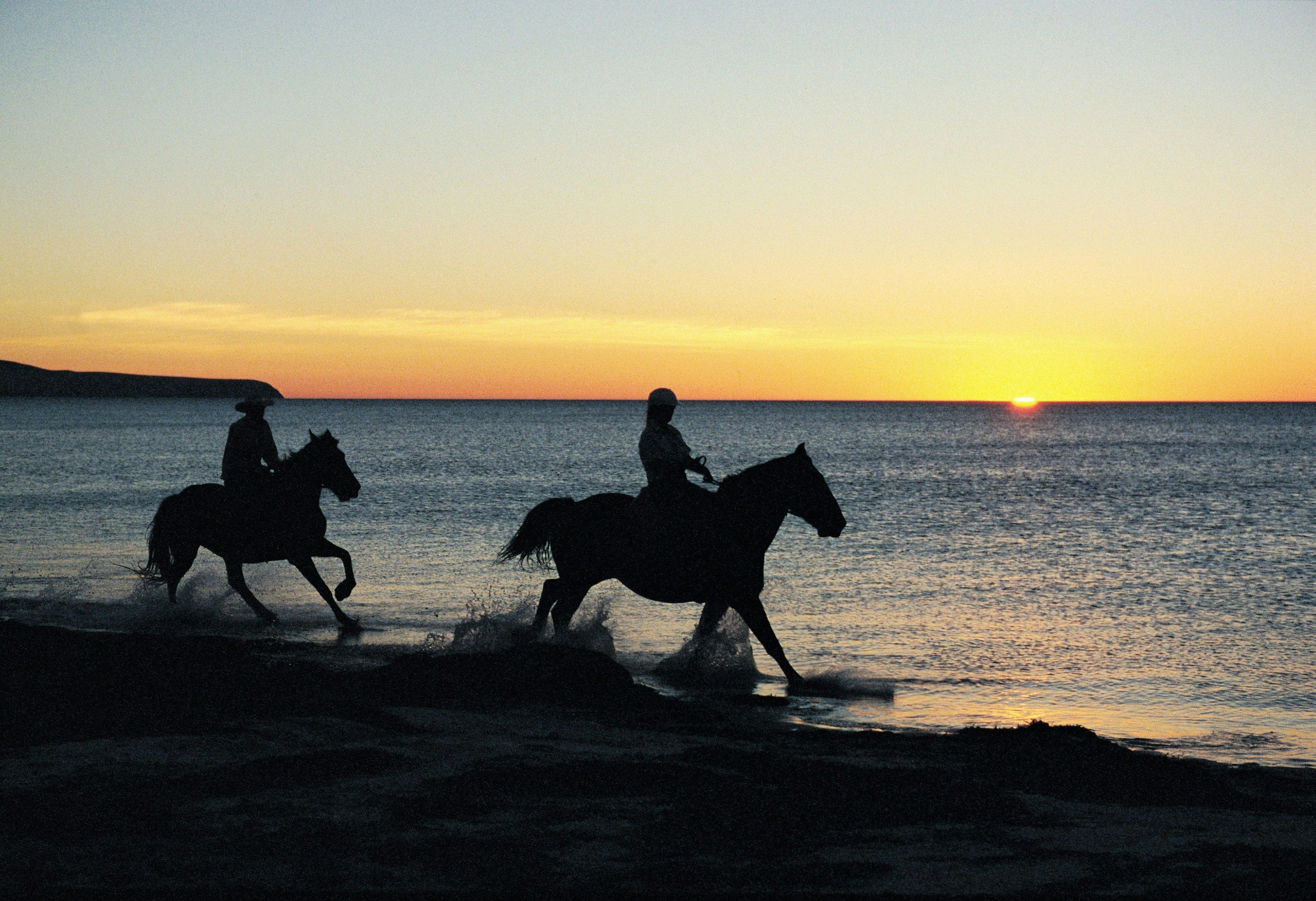 High Country Trails - Horse Riding on Normanville Beach