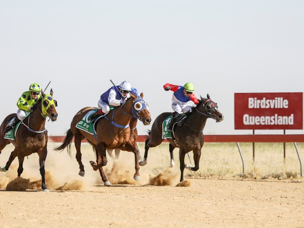 Horses in the final furlong at Birdsville Horses in the final furlong at Birdsville
