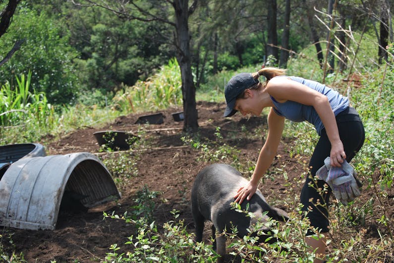 Image of the event 'Green Connect Farm Tour'