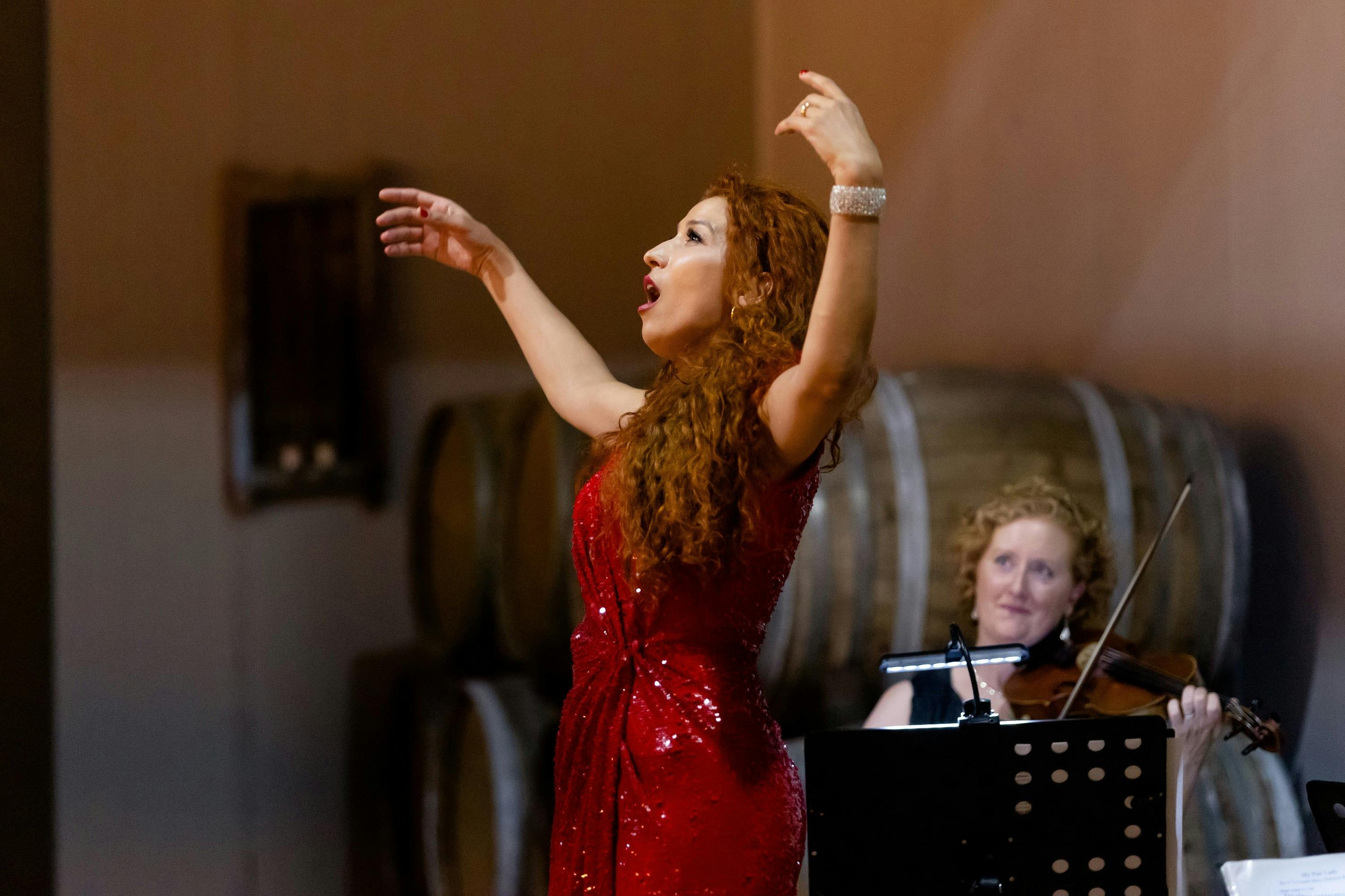 Opera in the Courtyard