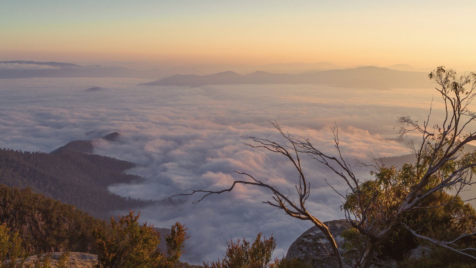 Sunrise at Mount Buffalo