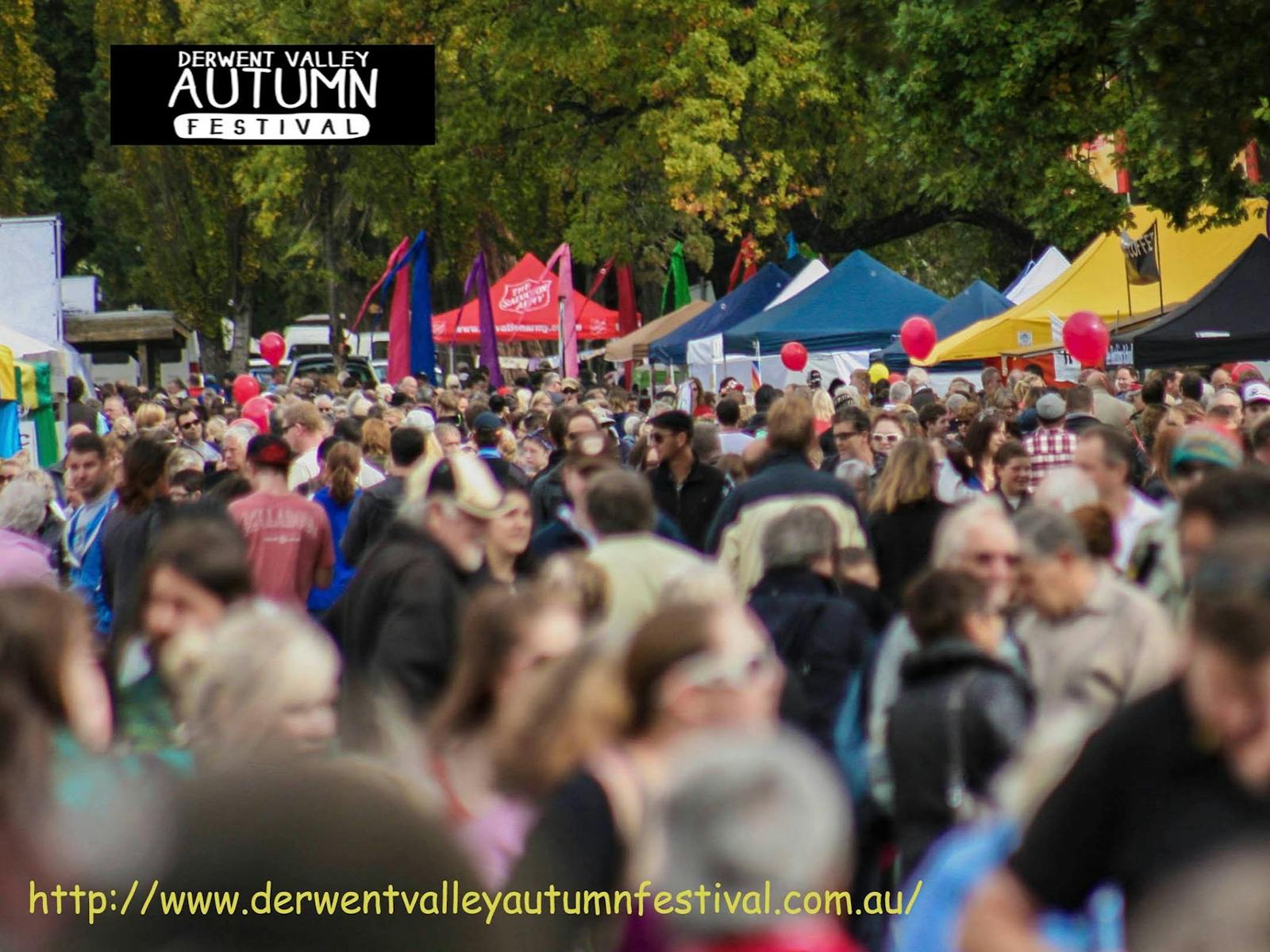 Image for Derwent Valley Autumn Festival
