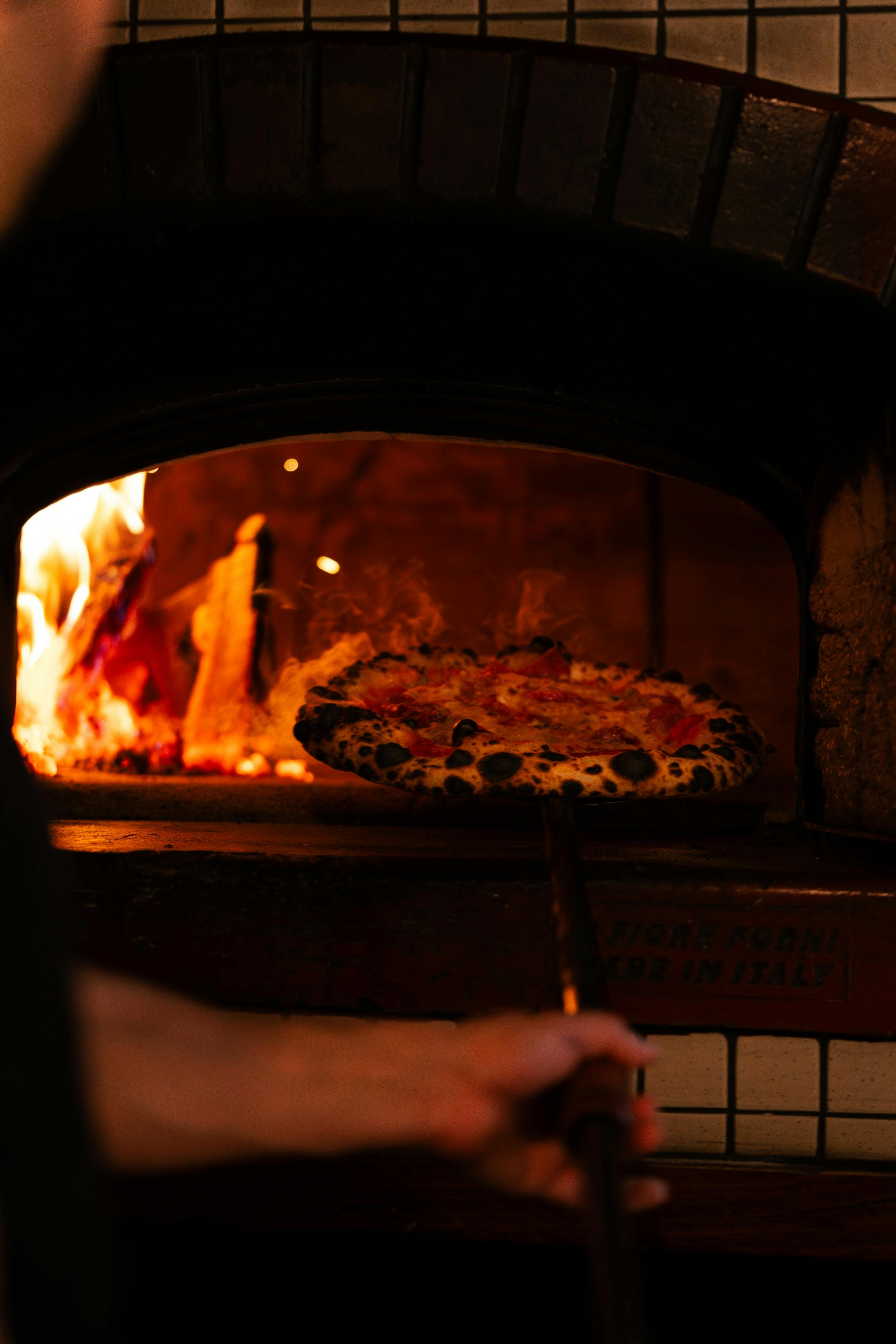 Anchovy Bandit Pizza Oven