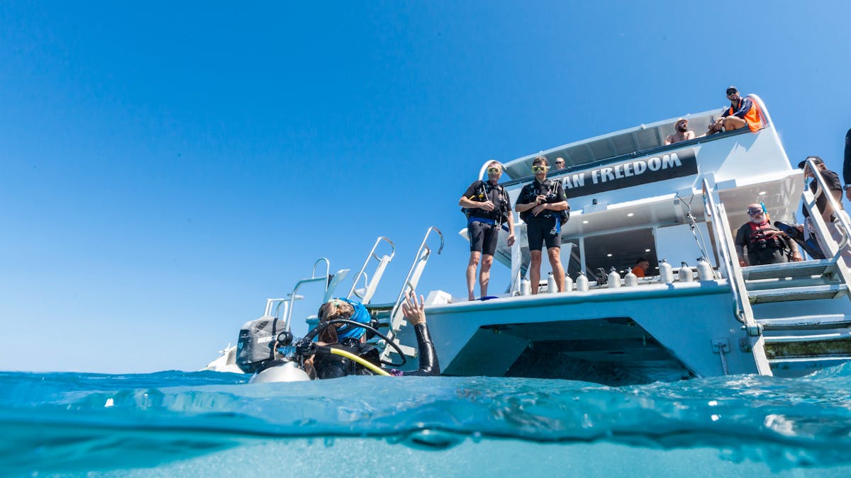 Scuba Divers on Ocean Freedom deck preparing to jump in