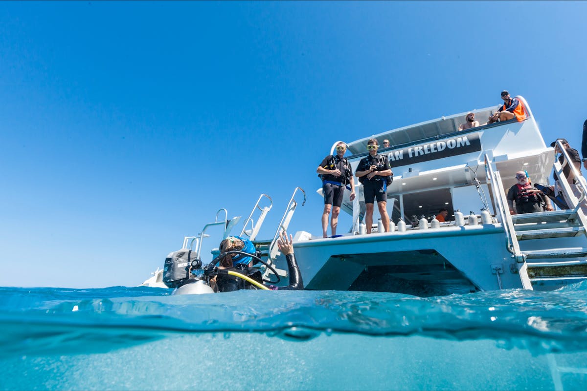 Scuba Divers on Ocean Freedom deck preparing to jump in