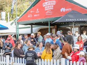 Webex Players Series South Australia