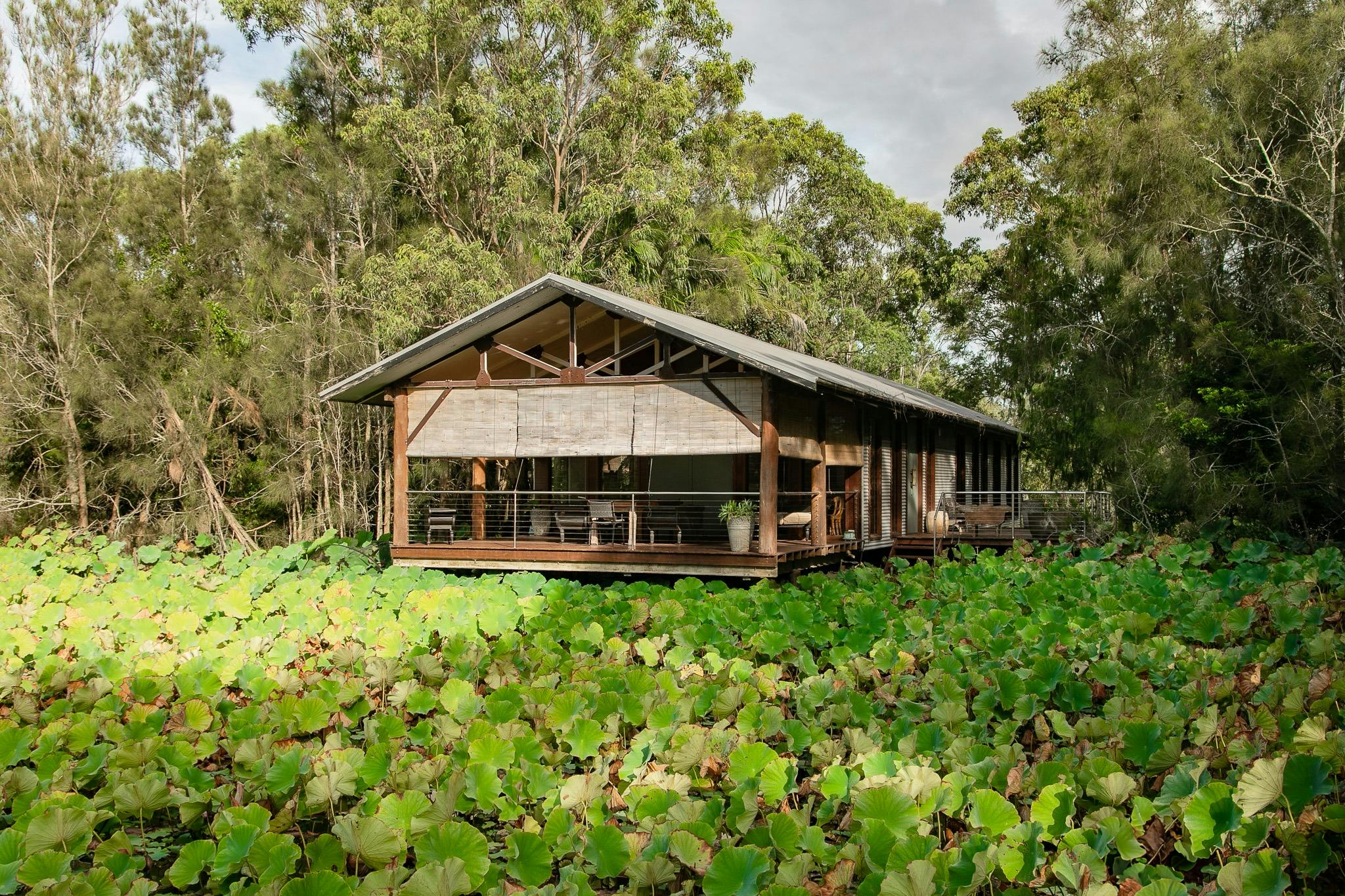 a boathouse with large deck located on a lush green lotus pond