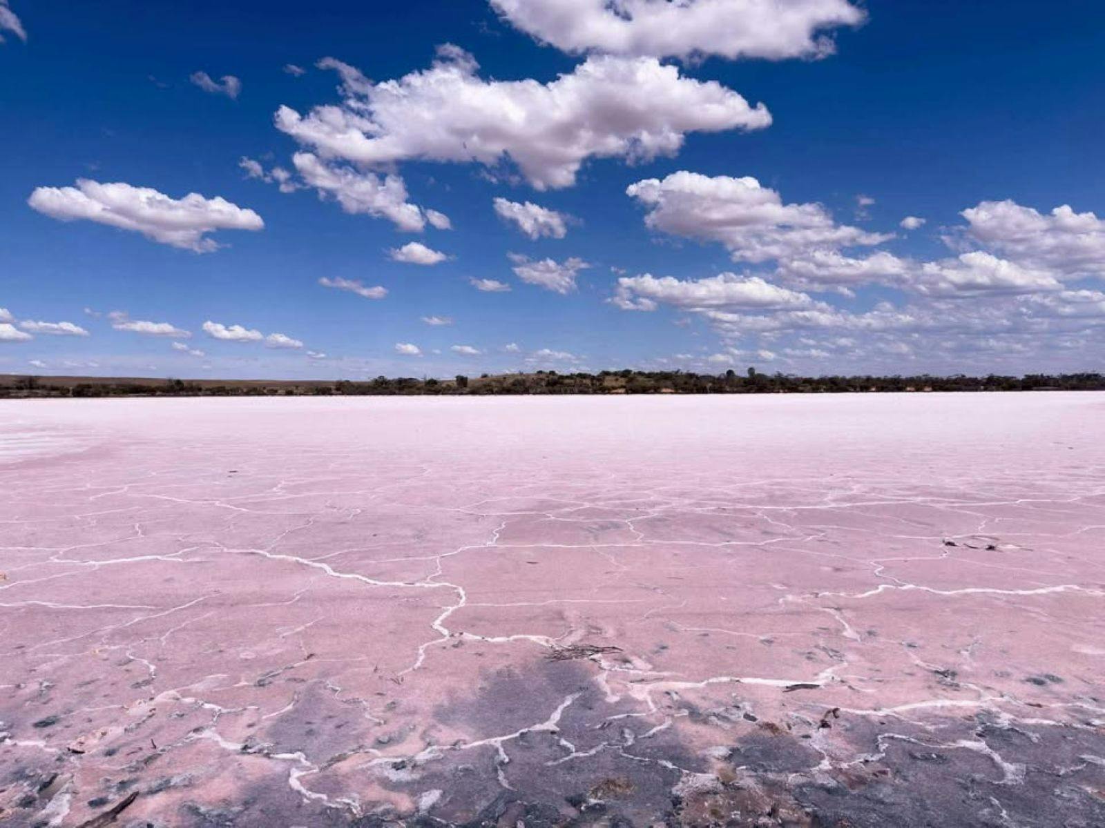 Pink Lakes