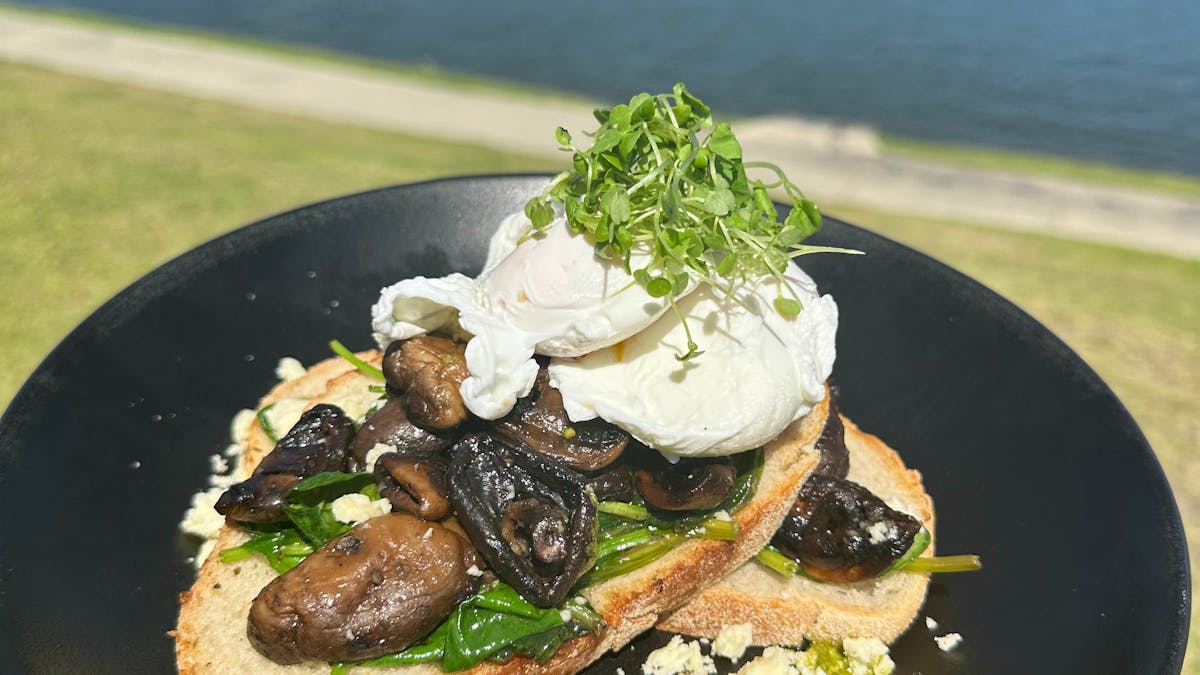 Truffle Mushrooms