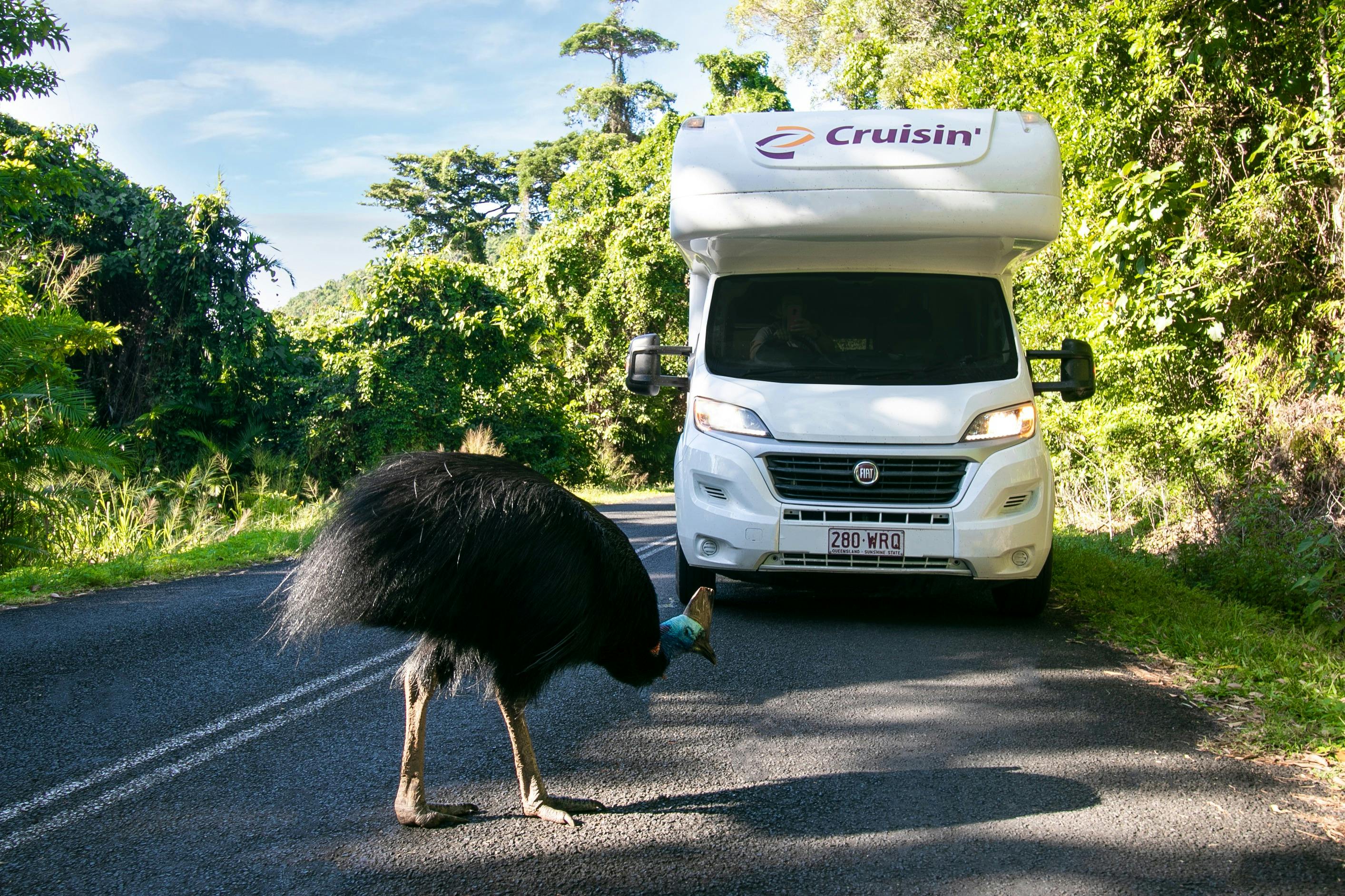 Cruisin Motorhomes Cairns