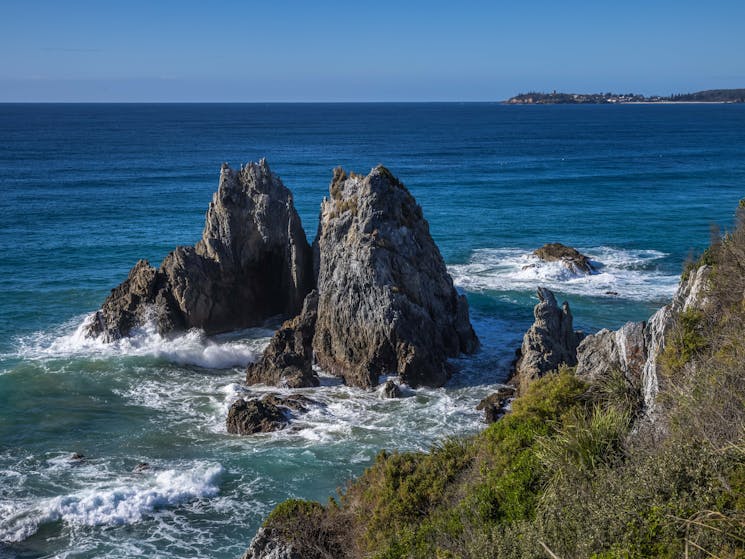 Camel Rock, Bermagui, Horse Head Rock, Sapphire Coast