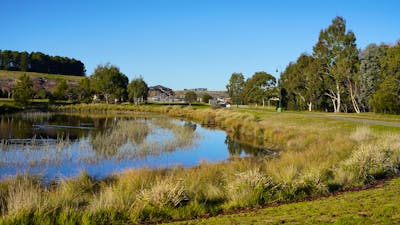 Pond near the skate park