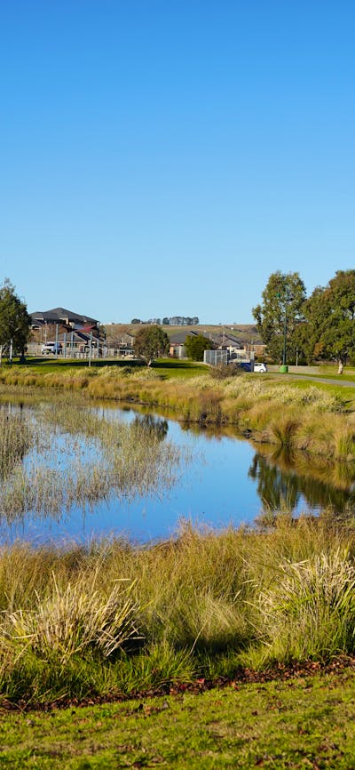 Pond near the skate park