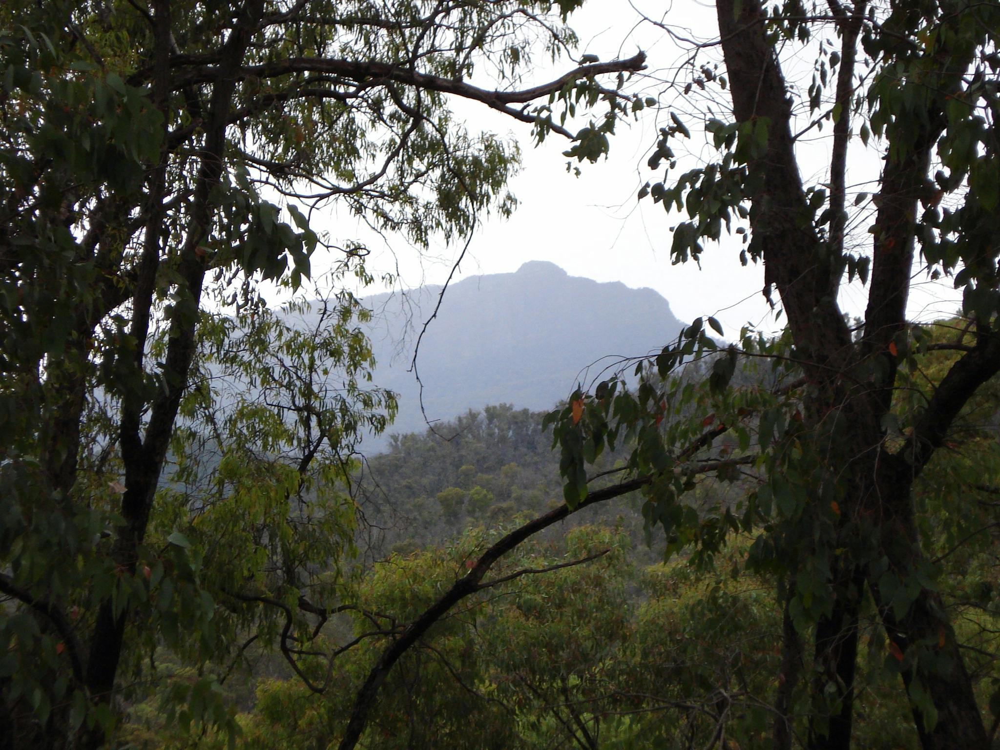 Pineapple Flat Camping Area