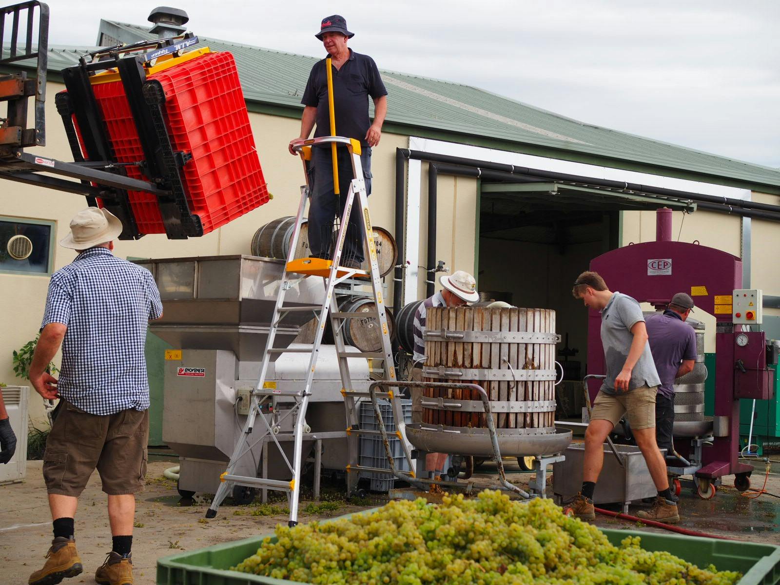 Harvest time