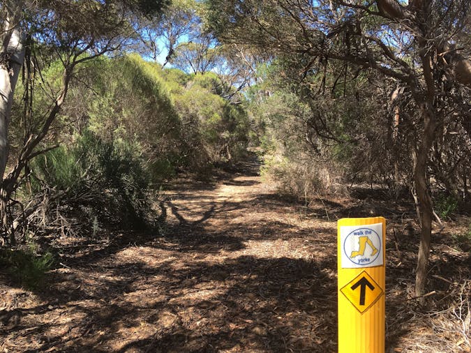 3 day womens wellness walking tour to Yorke Peninsula