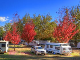 Beechworth Lake Sambell Caravan Park