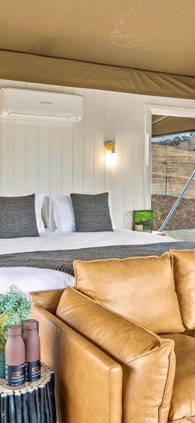 The eco-luxe tent - The Room