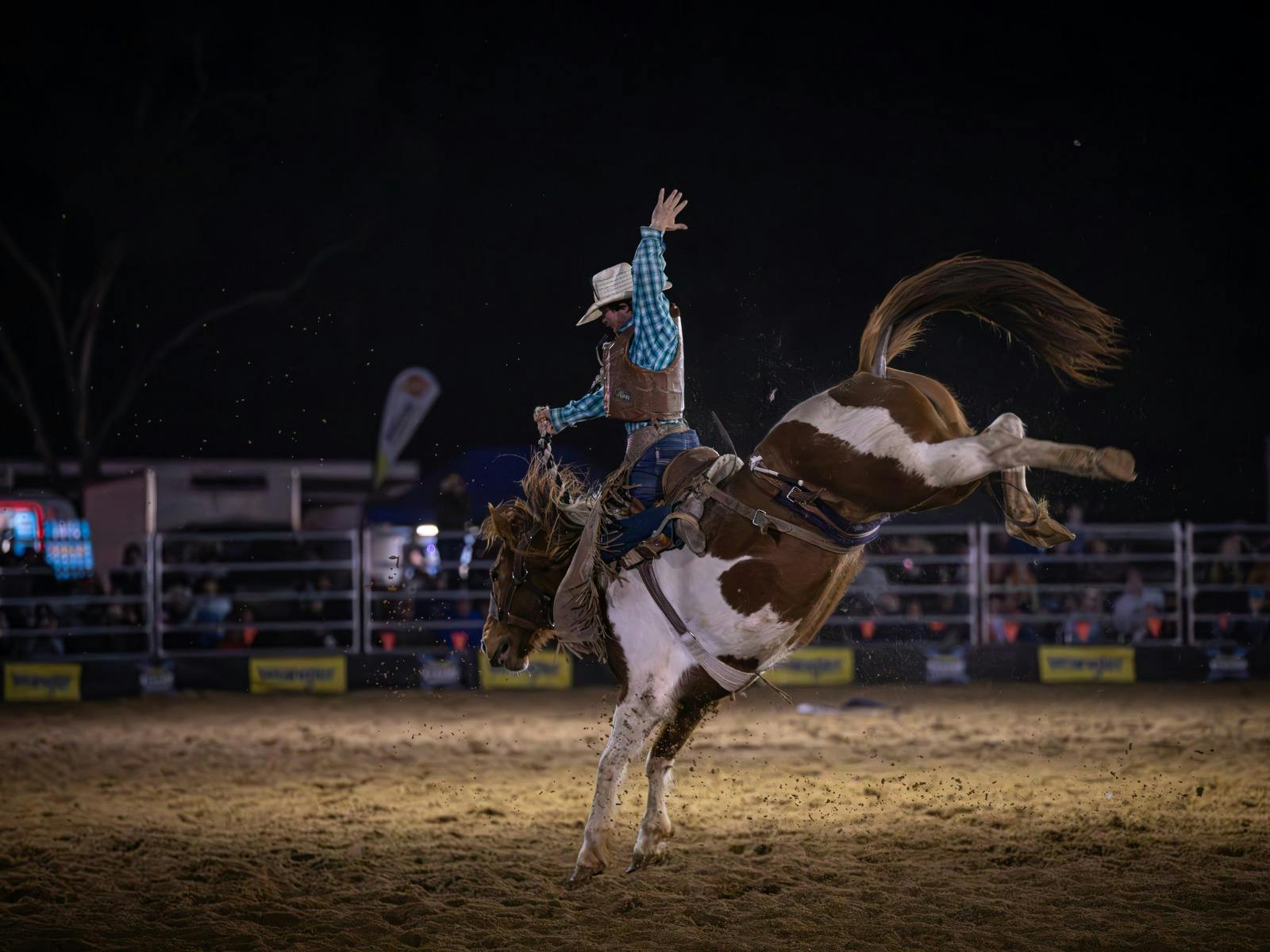 Cowboy on bucking horse in front of crowd. The horse is bucking.