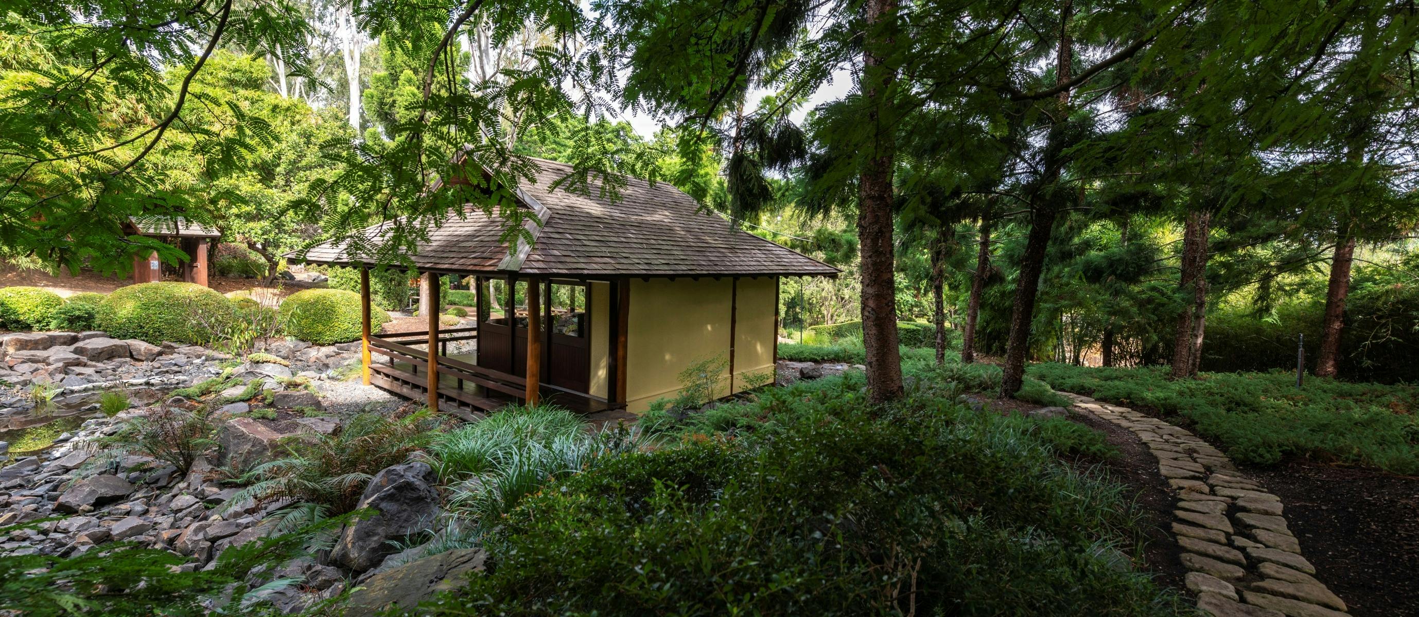 Nerima Gardens Japanese Tea Ceremony Experience